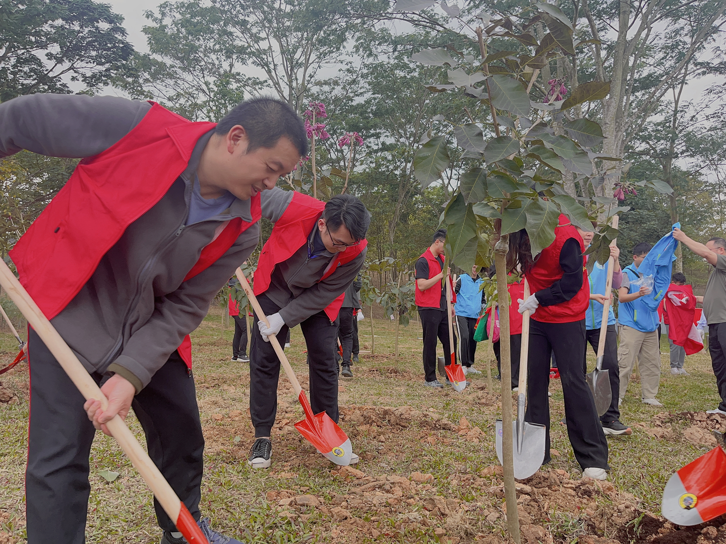 不朽情缘医疗植树活动
